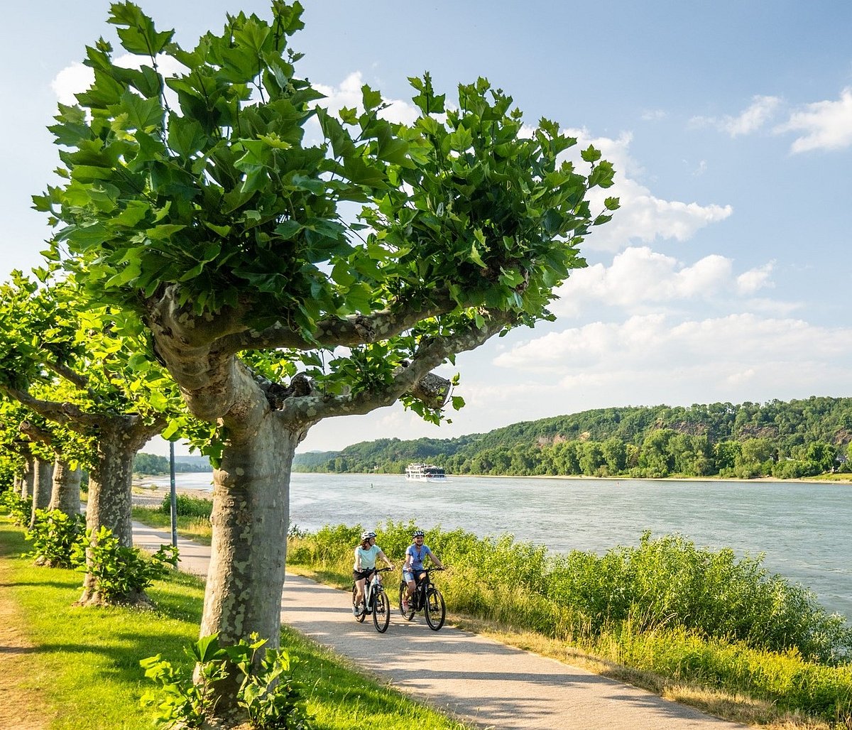 ecfeurovelo/Instagram : Stretching along the majestic Rhine River, the Rhine Cycle Route (EuroVelo 15) offers cyclists an unforgettable journey