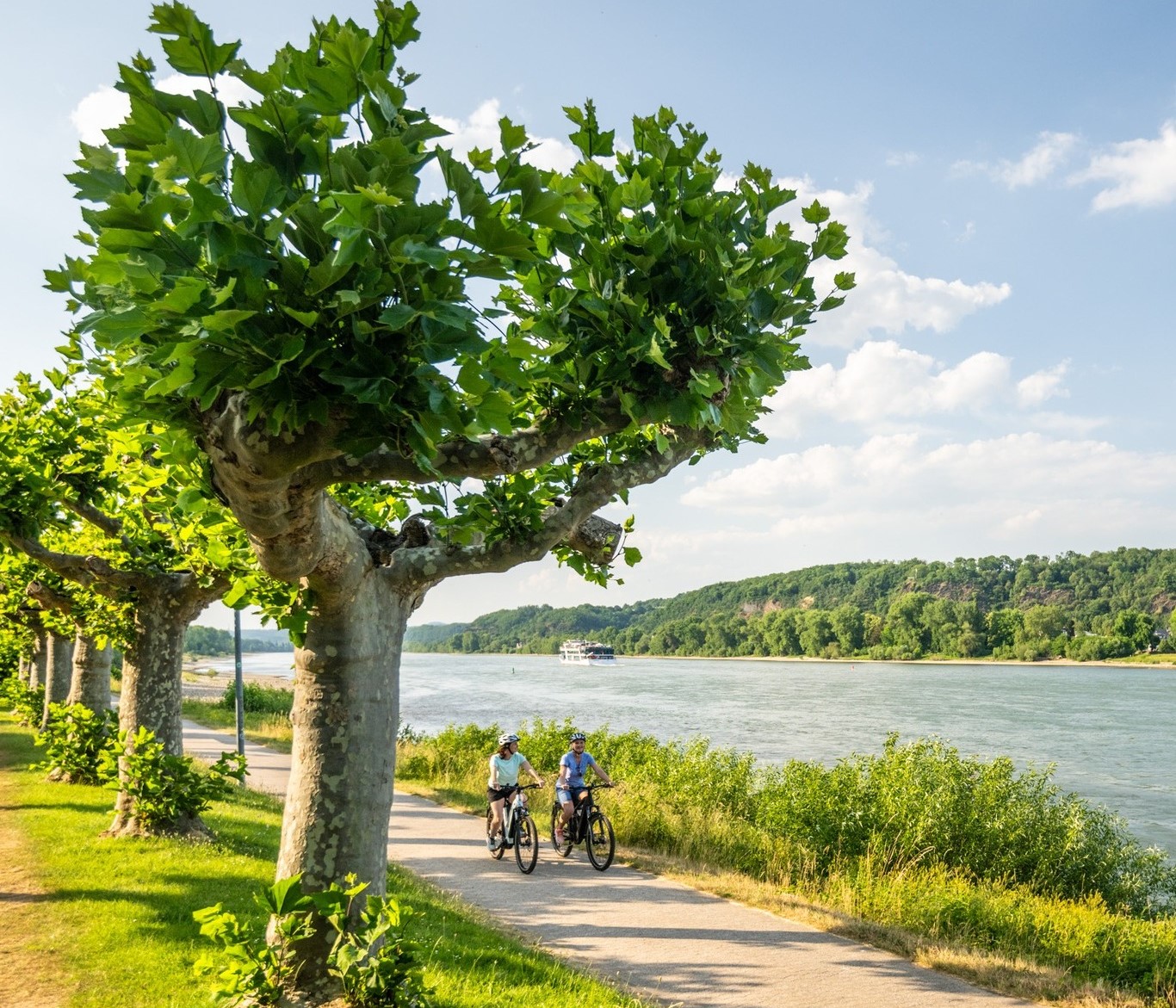 Stretching along the majestic Rhine River, the Rhine Cycle Route (EuroVelo 15) offers cyclists an unforgettable journey - ecfeurovelo/Instagram