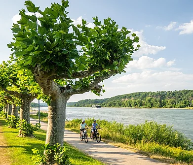 ecfeurovelo/Instagram : Stretching along the majestic Rhine River, the Rhine Cycle Route (EuroVelo 15) offers cyclists an unforgettable journey