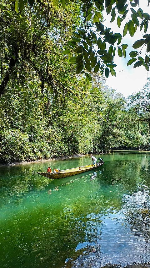 At Tutunendo, Colombia