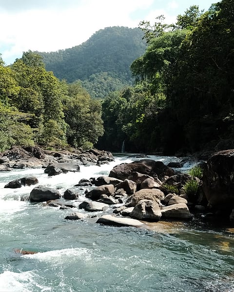A gorge in Tully, Queensland