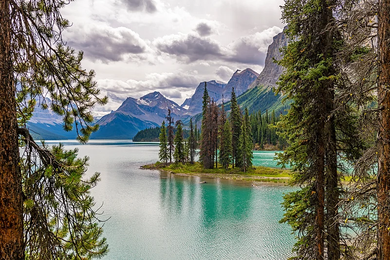 Spirit Island framed by pine forests and turquoise waters