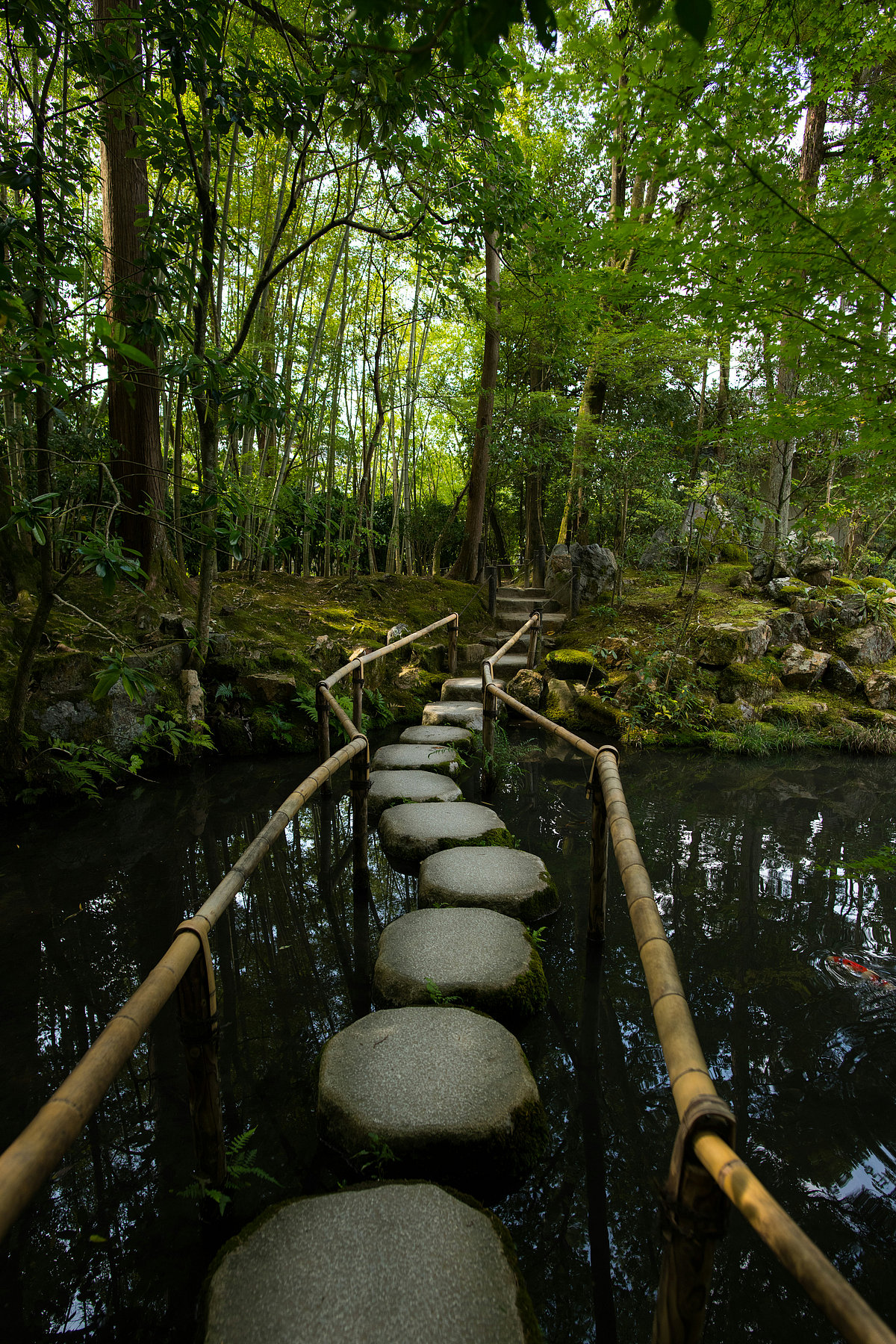 Unsplash : A view of a Japanese garden