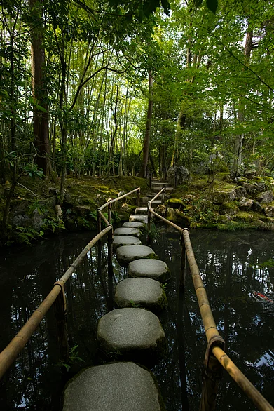 Unsplash : A view of a Japanese garden