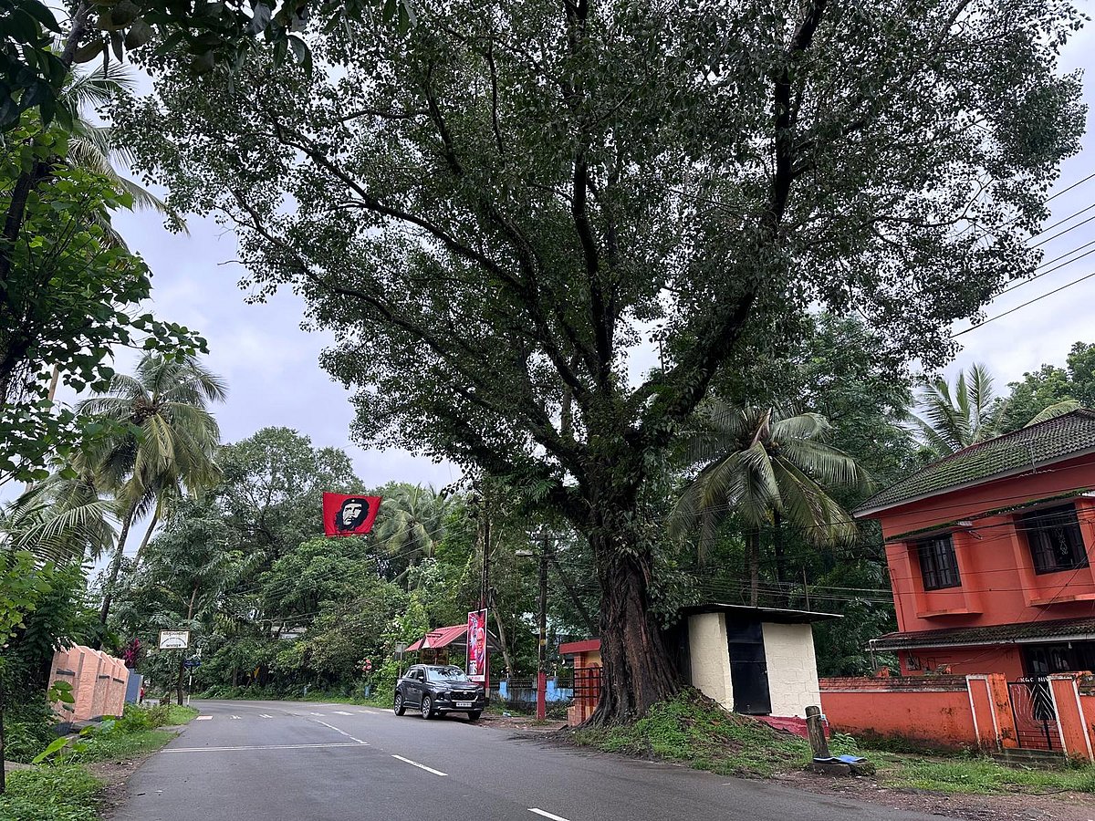 A city view of Palakkad