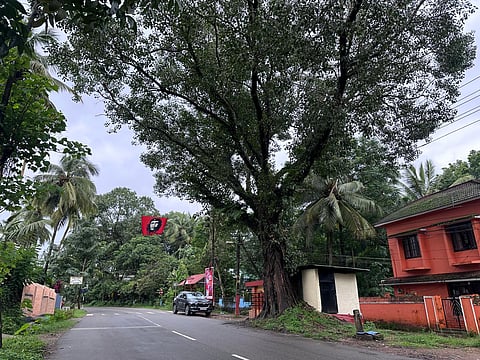 A city view of Palakkad