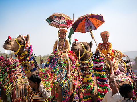 Pushkar Camel Fair