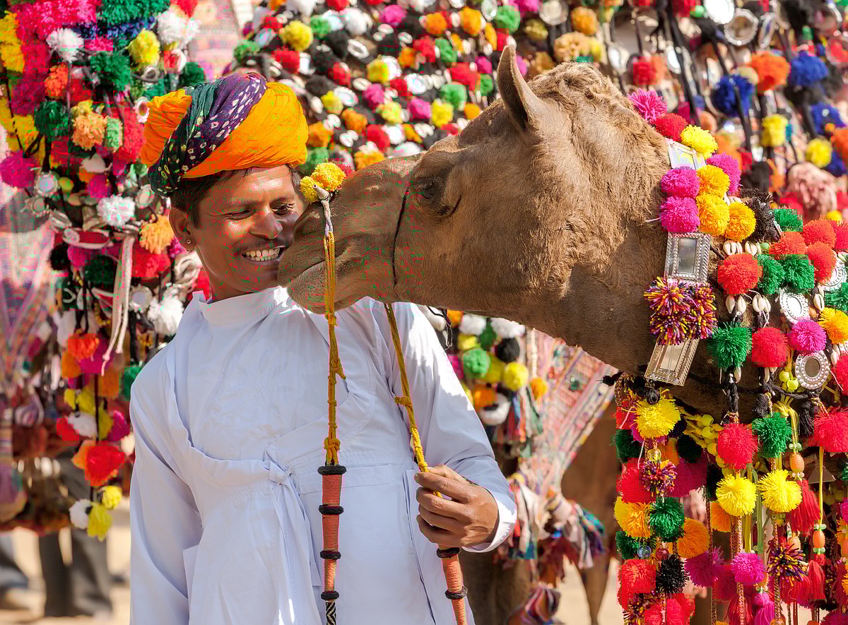 Camel decoration contest at the Pushkar Camel Fair, Rajasthan - Shutterstock