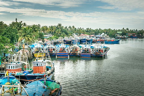 Fleet of commercial fishing boats moored at banks of Kerala backwaters, Vypin, India