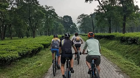 (Representational Image) Pedal through the lush greenery in Mizoram. 