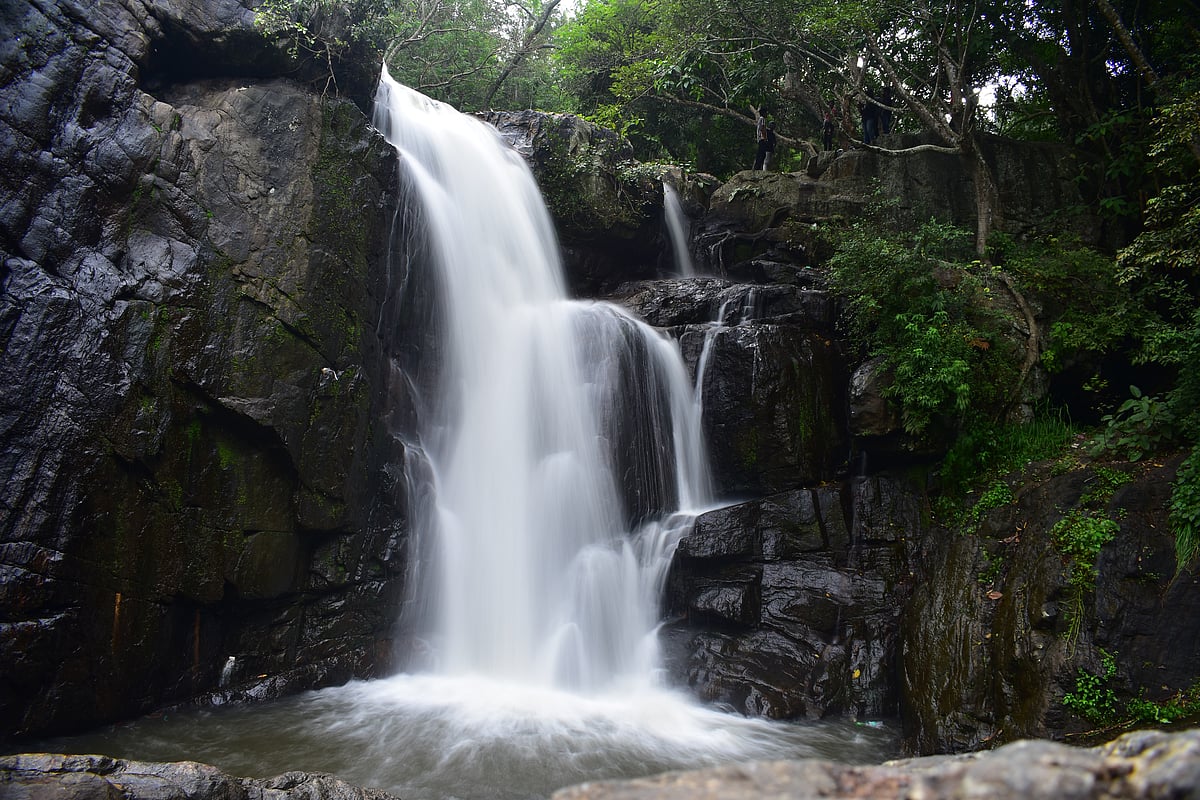 Shutterstock : Pullaveli Falls in Dindigul, Tamil Nadu