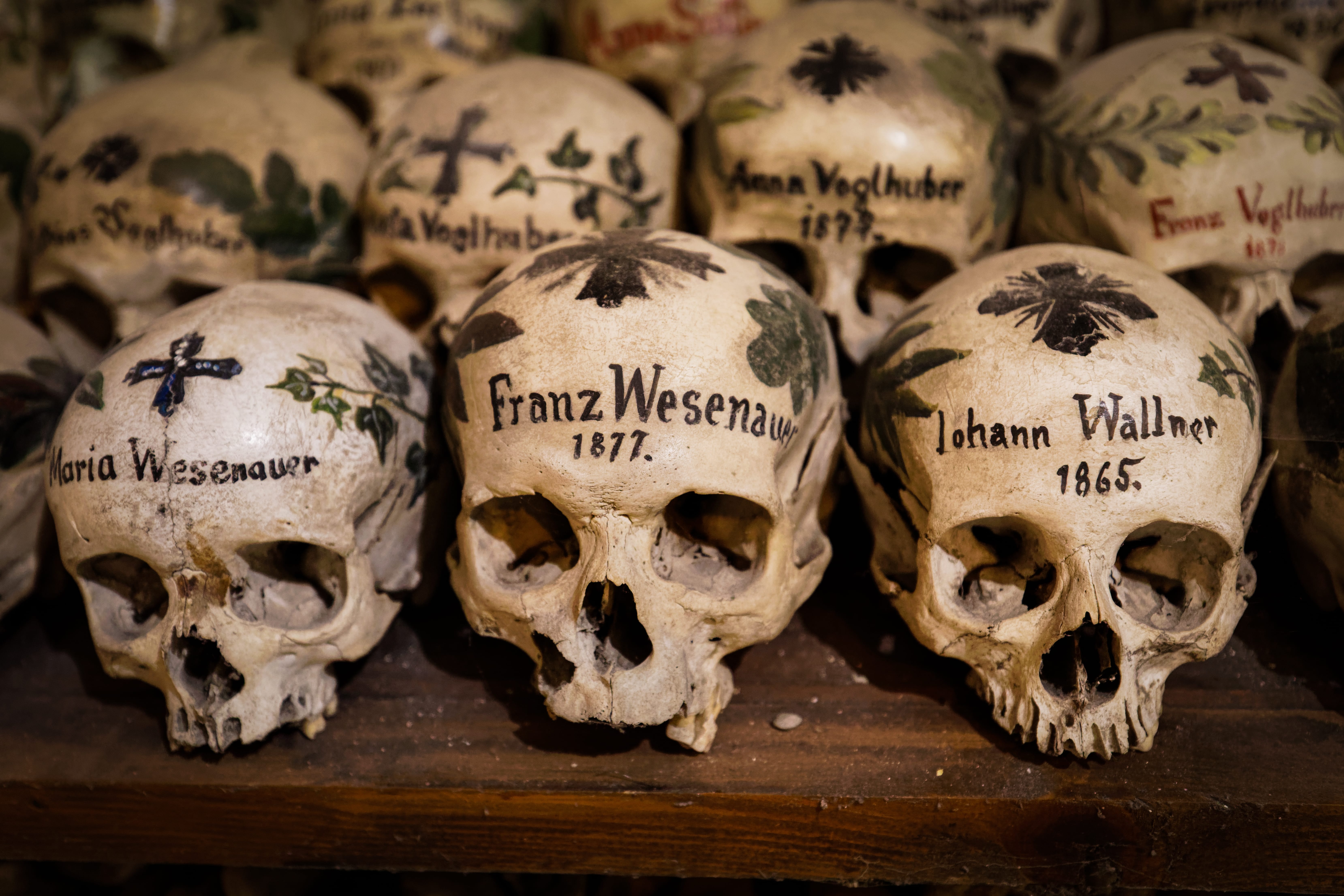 Decorated skulls in the Bone House of Hallstatt, Austria. Dating back to the 17th century, these skulls make an ideal resource for genetic studies