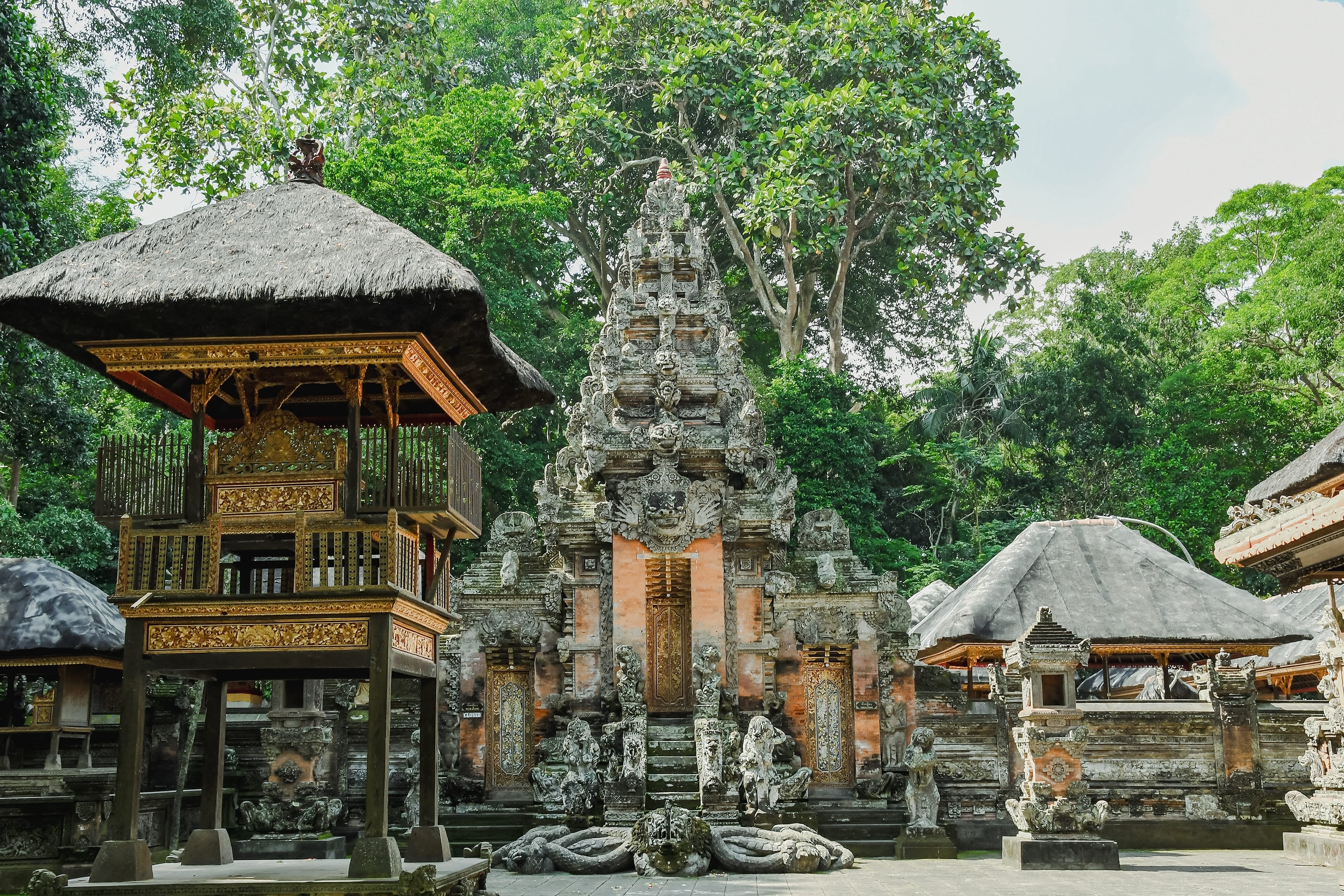 Ubud’s Monkey Forest, Bali