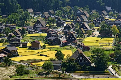 663highland/Wiki Commons : Declared a UNESCO World Heritage site in 1995, Shirakawa-go is recognised for its unique architectural heritage and the serene beauty