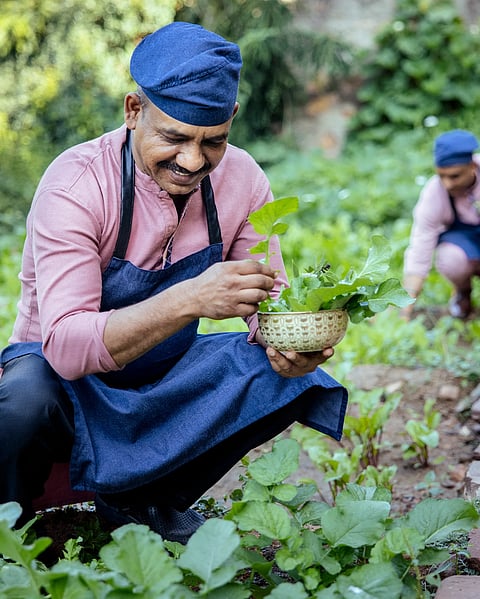 Organic Herb Garden at Six Senses Barwara