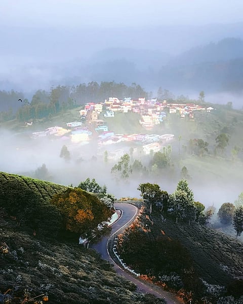 Fog in Ooty