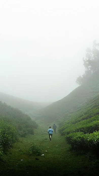 Unsplash : Two friends enjoying on a trip