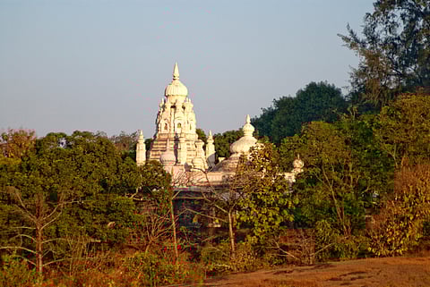 The detailed Shikhara of a temple in Anjarle, Maharashtra, framed by the surrounding trees