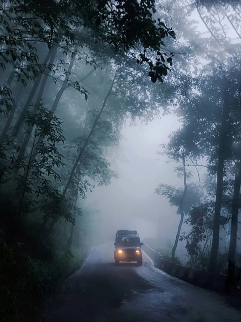 A foggy sight of Darjeeling