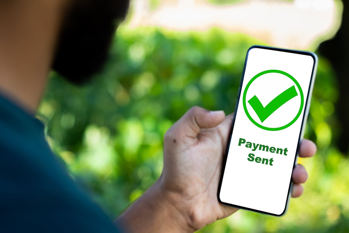 A man makes an online payment (for representational purposes only)