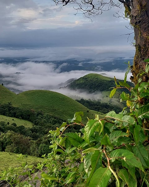 Landscape of Coorg 
