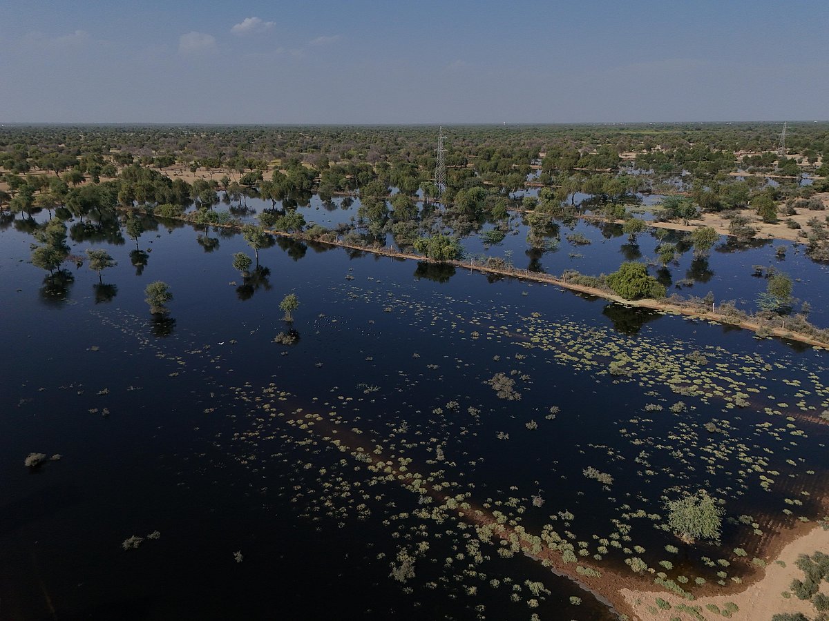 A landscape of west Rajasthan