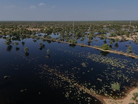 A landscape of west Rajasthan