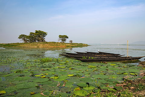Deepor Beel Lake of Guwahati, Assam