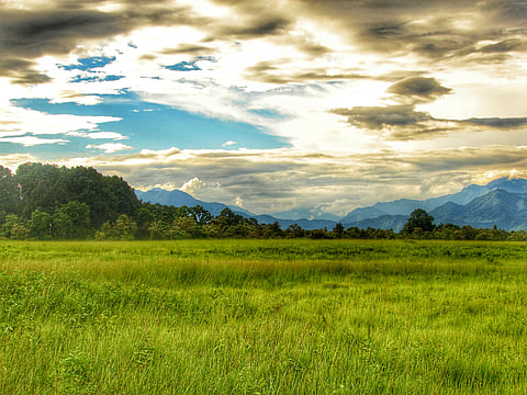 Landscape of Manas National Park, situated in the foothill areas of India and Bhutan
