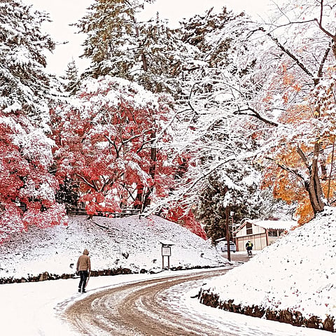 Snow in Aomori, Japan