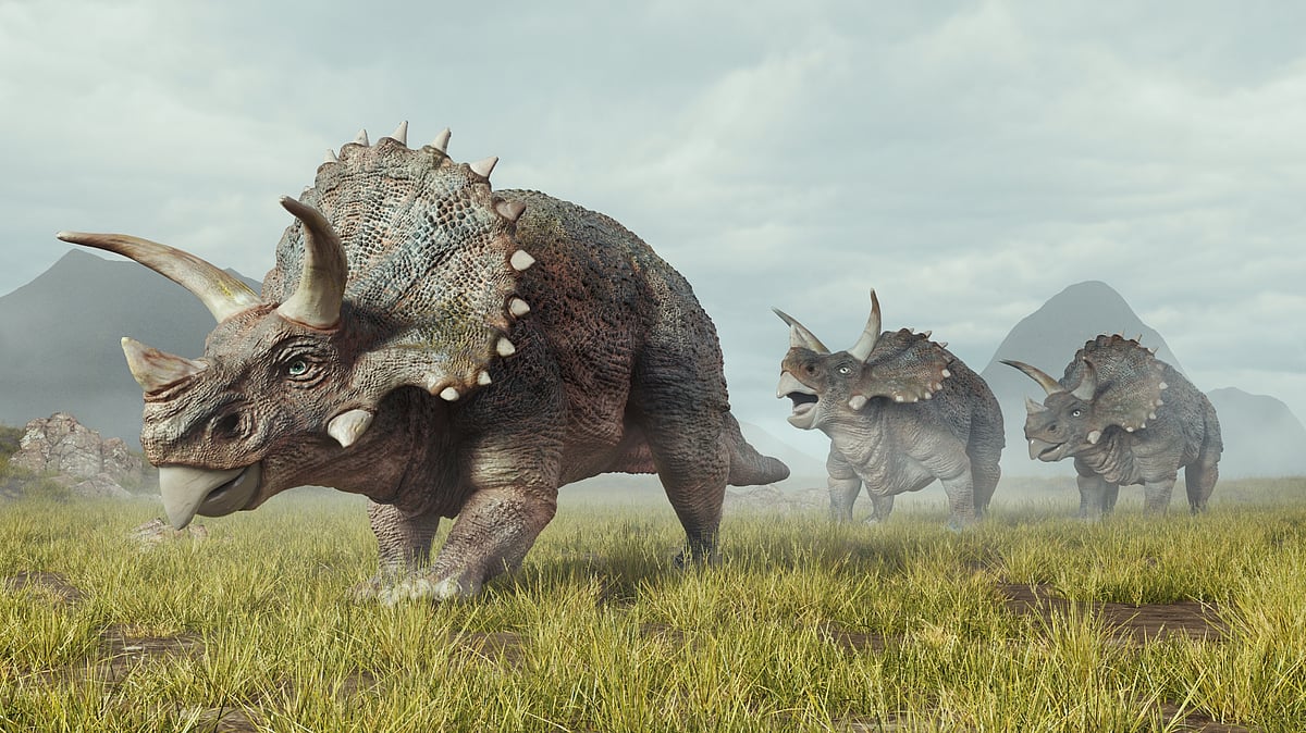 Illustration of a group of triceratops  - Shutterstock