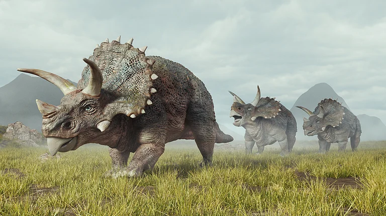 Illustration of a group of triceratops - Shutterstock