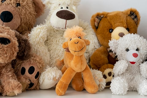 Hotels and tourism brands are adapting to this trend by offering services and amenities designed specifically for plush travel companions