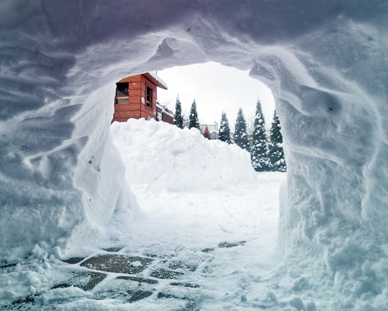 Each season, ice hotels and igloo villages are rebuilt, combining ephemeral architecture with experiences like northern lights viewing, husky rides, and traditional winter activities