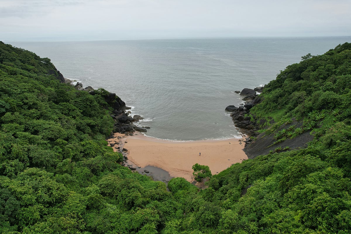 A shot of the landscape in Goa