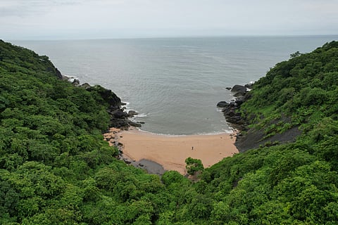 A shot of the landscape in Goa