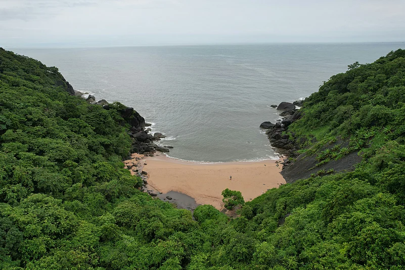 A shot of the landscape in Goa