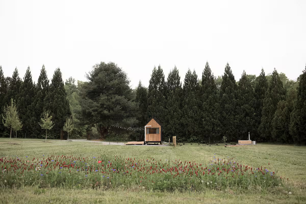 Small yet serene, this forest hideaway pairs Scandinavian design with a wood-fired sauna and backcountry calm.