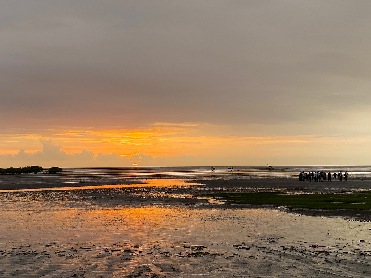 As we moved from Nashik to Palghar, the landscape shifted