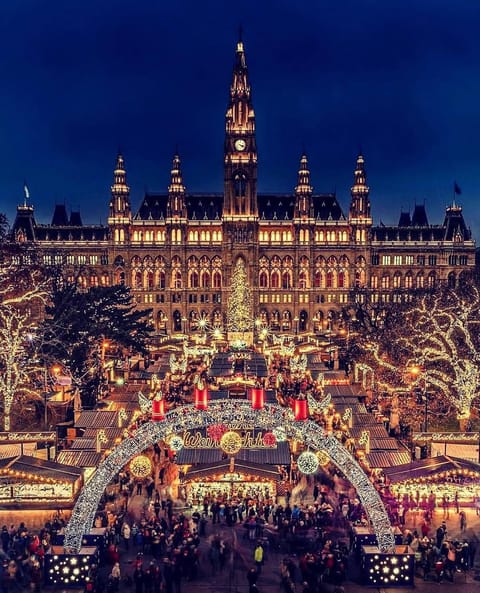 Christmas market in Vienna