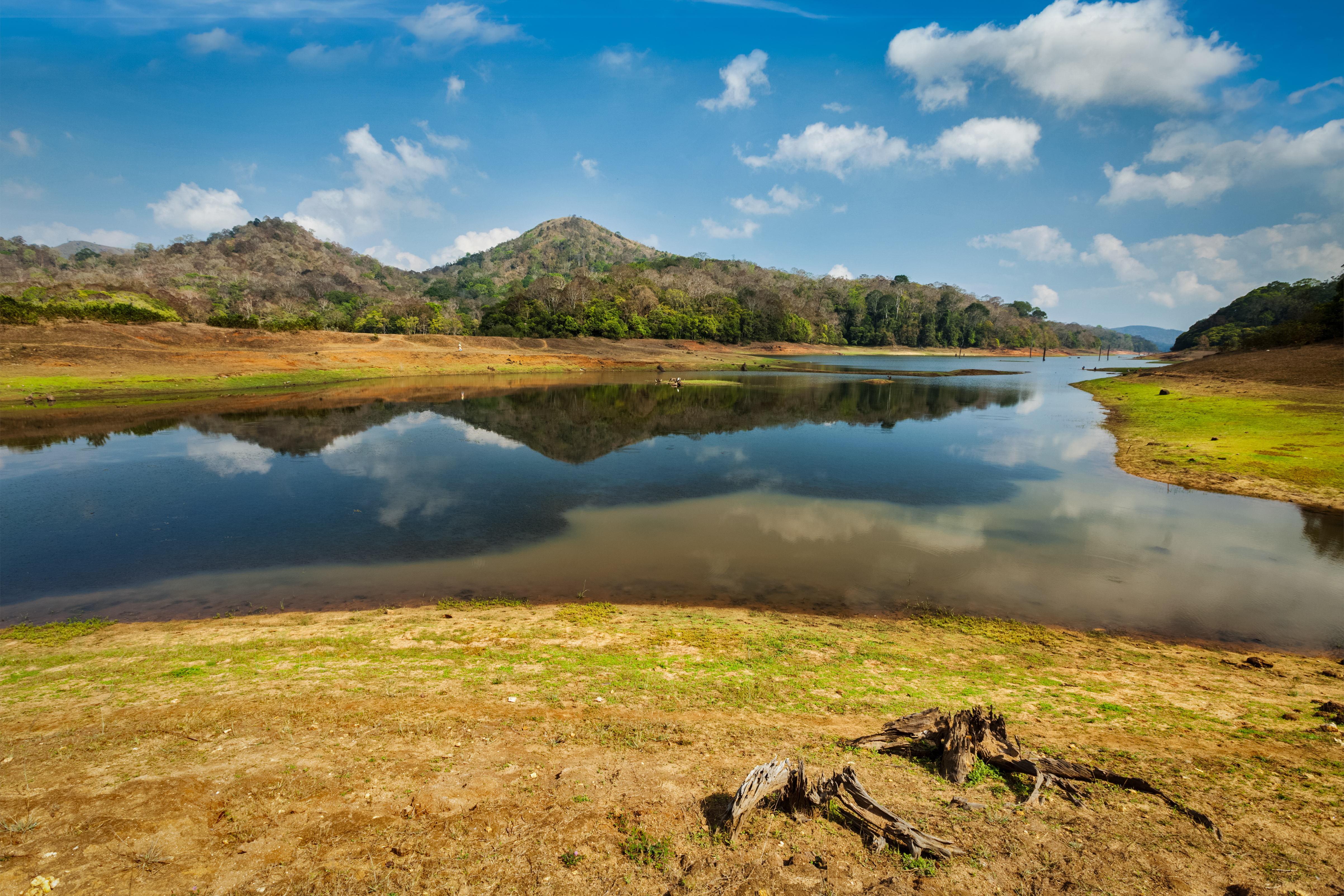 A peaceful boat ride through Periyar lets families watch elephants and birds along serene jungle shores.
