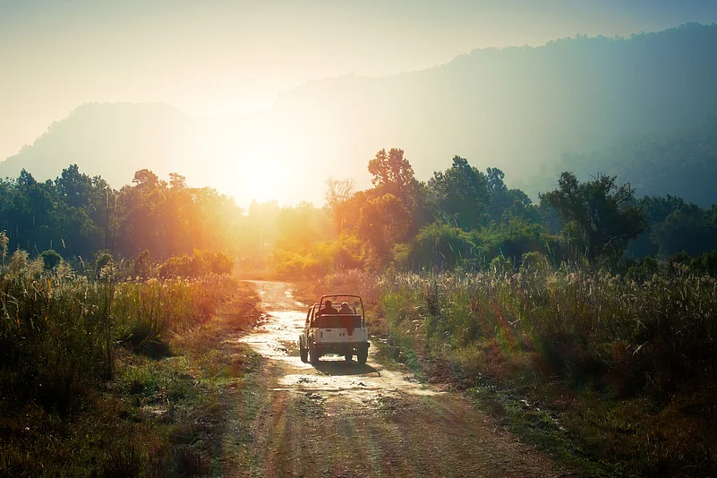 Bandhavgarh’s high tiger density and ancient ruins create an exciting backdrop for young adventurers