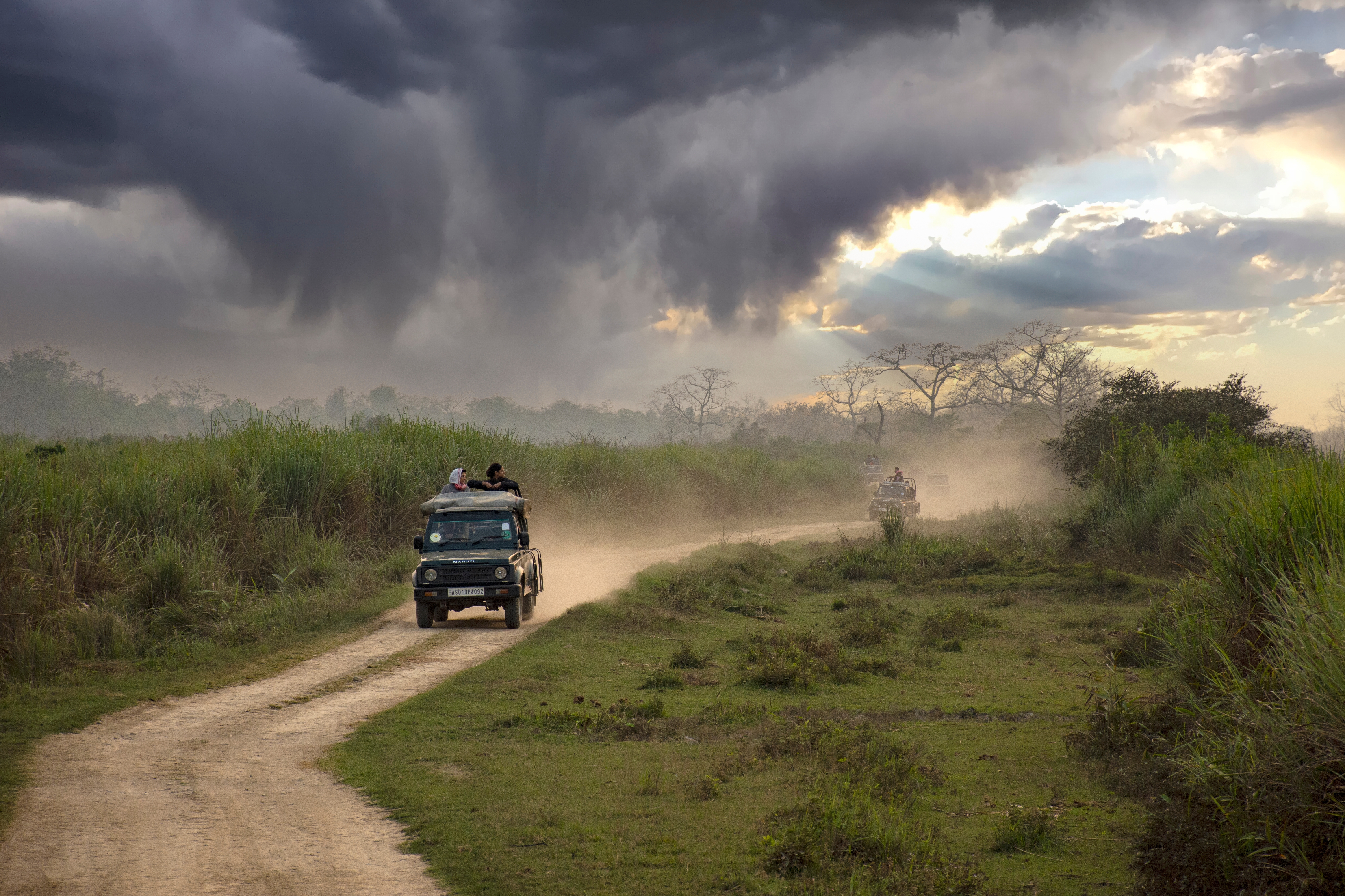 Kaziranga’s one-horned rhinos offer a once-in-a-lifetime sighting that leaves children awestruck.