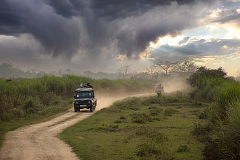 Kaziranga’s one-horned rhinos offer a once-in-a-lifetime sighting that leaves children awestruck.
