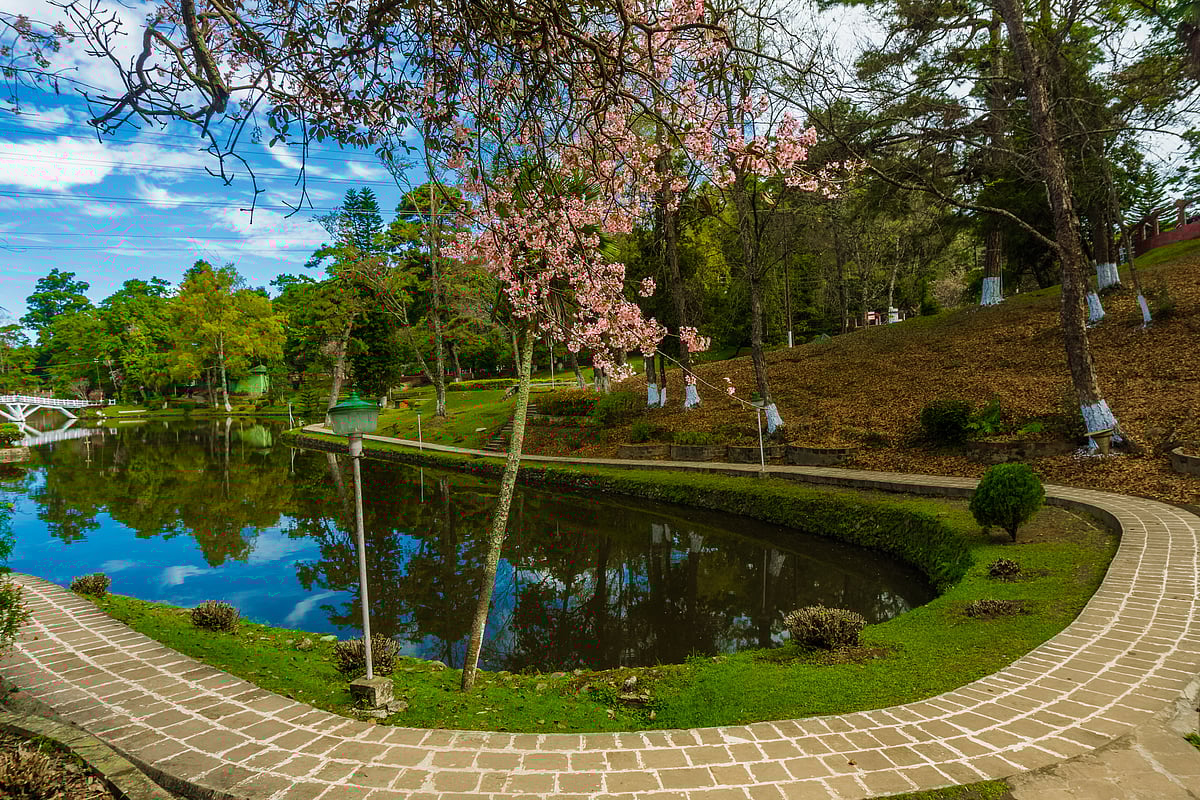 Ward’s Lake in Shillong, Meghalaya