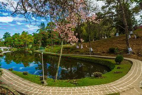 Ward’s Lake in Shillong, Meghalaya
