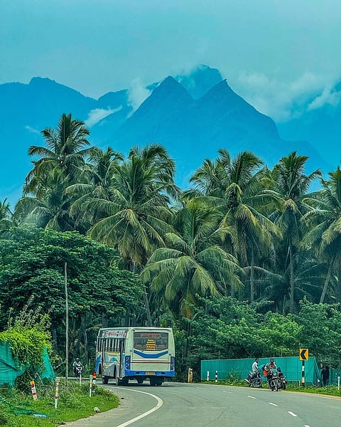 Road along Bengaluru–Ooty
