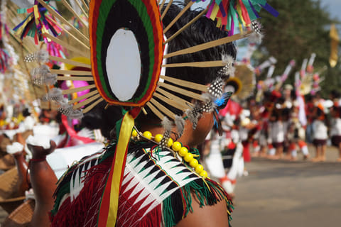 A Naga tribal man in traditional attire at the Hornbill Festival, Kohima