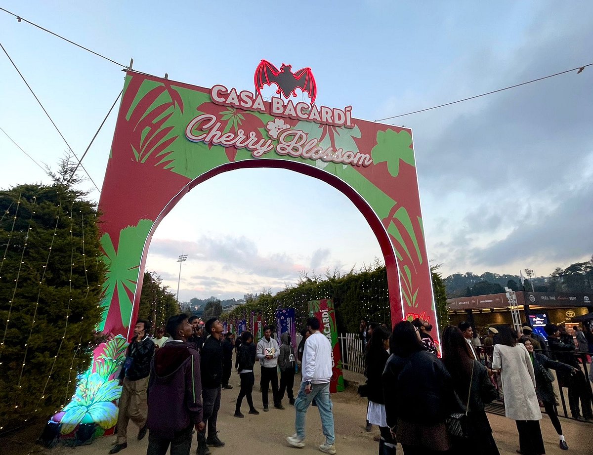 Shillong Cherry Blossom Festival 2025