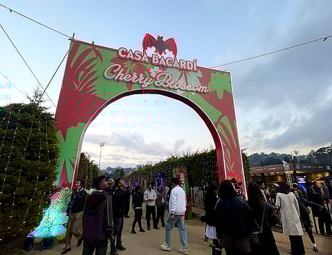 Shillong Cherry Blossom Festival 2025